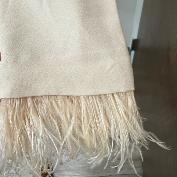 Elegant Cream Feather-Trimmed Ann Taylor Women's Top - Picture 5 of 6